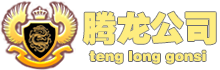 腾龙集团有限公司